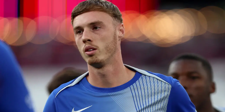 Analisis Performa dan Evolusi Peran Palmer