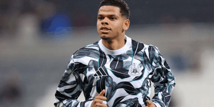 Tantangan dan Area yang Perlu Ditingkatkan